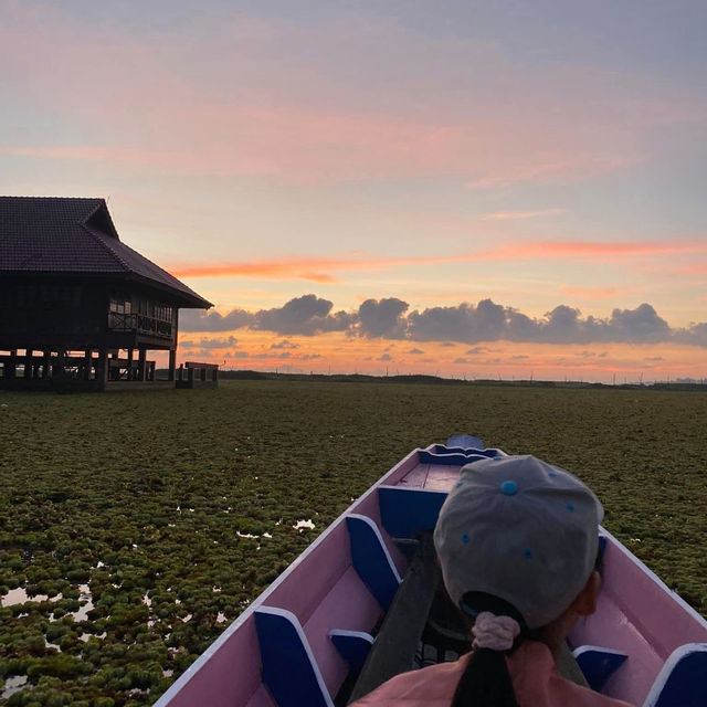 Enjoy nature at Thale Noi Waterbird Park🛶