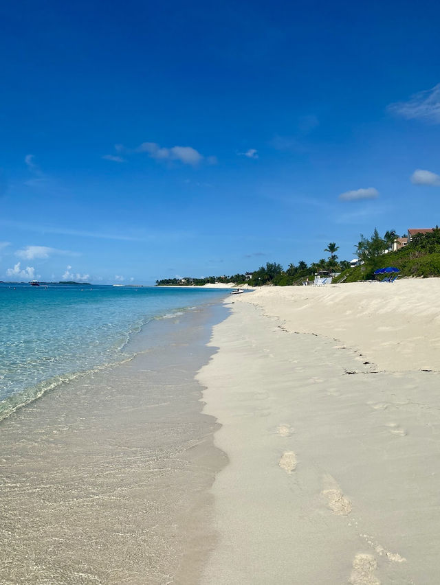 Cabbage Beach