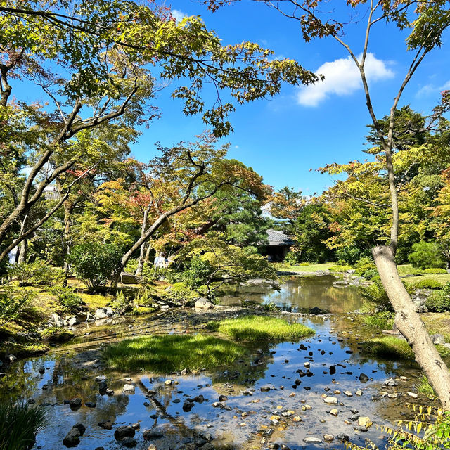 在京都遠離塵囂的靜謐庭院