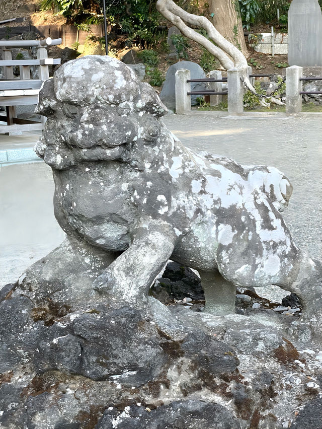 【貫井神社/東京都】湧水流れる美しい境内