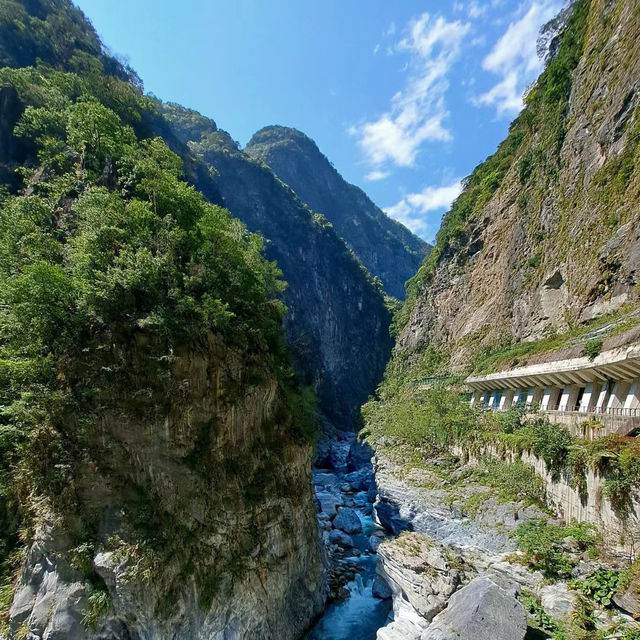 佘山國家森林公園：青翠山水畫捲