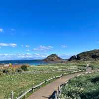 式根島：日式風情山海環景