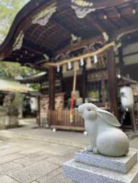 【京都】うさぎが可愛い神社