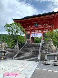 【京都観光】もうこんなに人の少ない「清水寺」は行けないかもしれない？