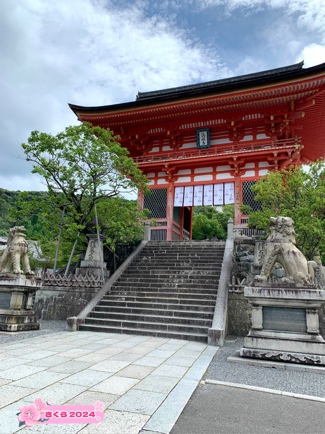 【京都観光】もうこんなに人の少ない「清水寺」は行けないかもしれない？