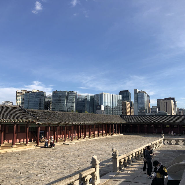 서울여행-경복궁과 광화문, 청와대를 한 번에 가보기