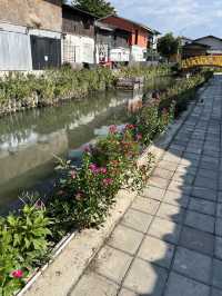 Mae kha canal คลองแม่ข่า เชียงใหม่