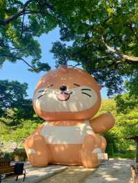 대구 자연속 힐링 자연요가체험!!