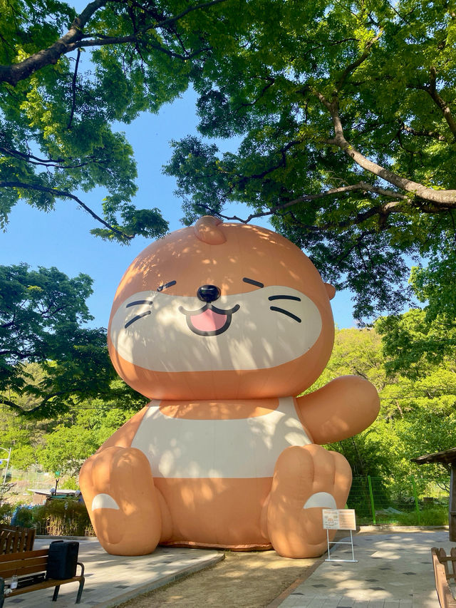 대구 자연속 힐링 자연요가체험!!