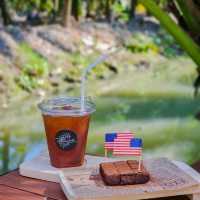 NatureHide Coffee&Tree