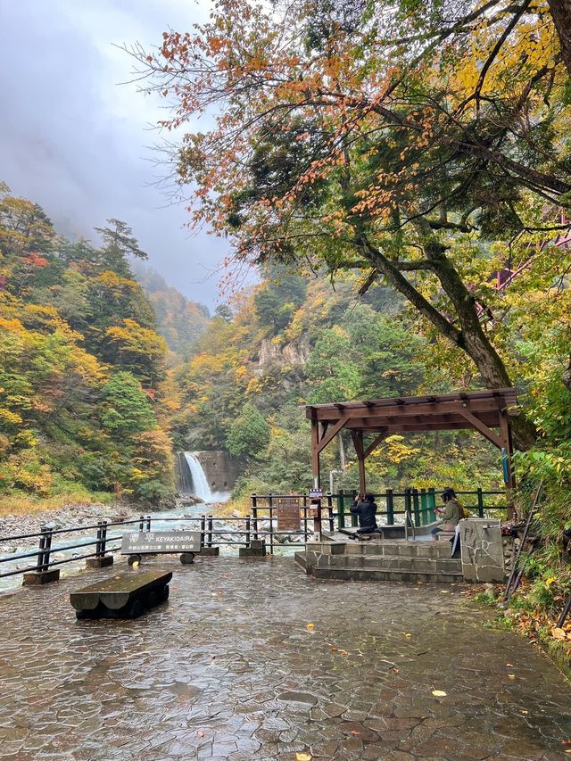 🚂 Kurobe Gorge ทางรถไฟสุดโรแมนติกในญี่ปุ่น