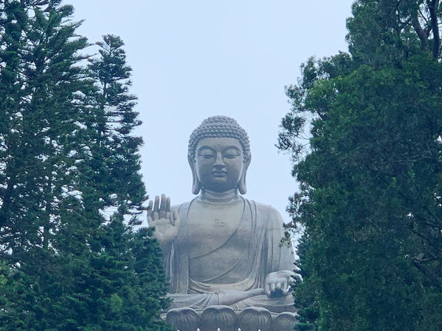 【2024春】昂坪寶蓮寺：仙境般幽雅，許願樹祈福