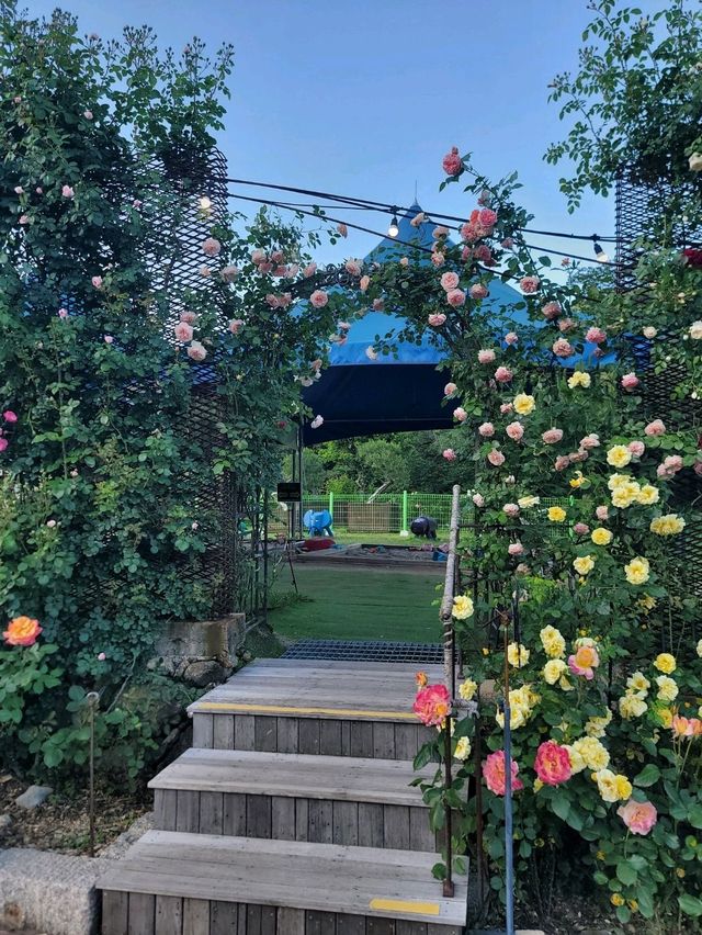 지리산과 장미 콜라보가 아름다운 하동카페🌹🌿