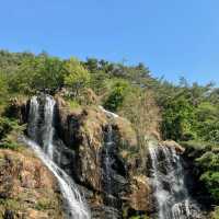 「日本鍋瀑布公園：春日浪漫，心靈寧靜」