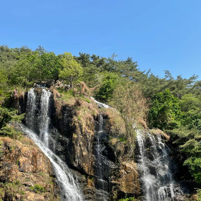 「日本鍋瀑布公園：春日浪漫，心靈寧靜」