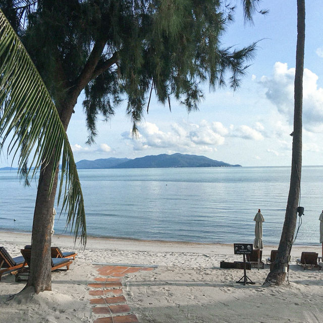 MELATI BEACH SAMUI | ที่พักริมหาดสมุย