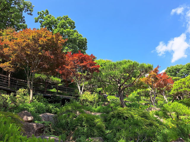 Hwadam Forest