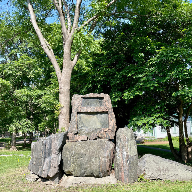 Serene Strolls at Hokkaido University