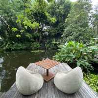 เหมือนหลุดมาอยู่อีกเมืองเลย Renaissance Phuket