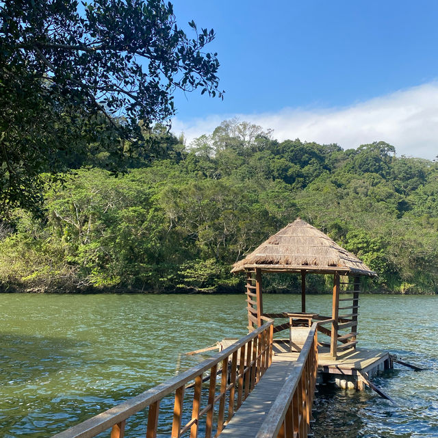 桃園 三坑自然生態公園 🏞️