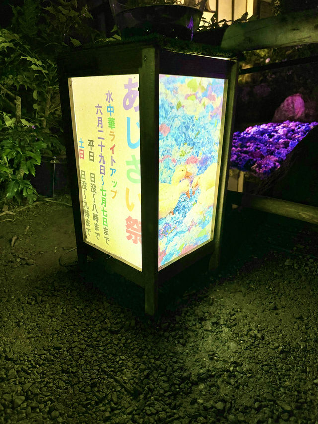 〜茨城県〜幻想的！7/7まで雨引き観音ライトアップ✨
