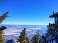 👣 Day Hike at Mt San Jacinto Park 