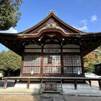 〜京都府宇治市〜日本最古の神社！世界遺産宇治上神社