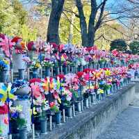 〜東京都〜増上寺！東京タワーと歴史的なお寺が見られる日本景色！