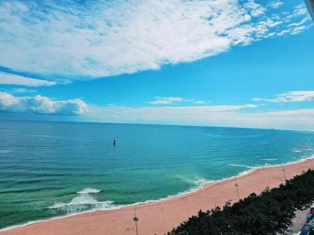 🌊 Ocean Views at Skybay Gyeongpo