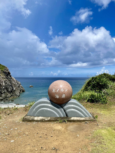 奄美大島の石 奄美大島の石