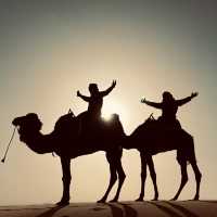 Lost in the Sahara