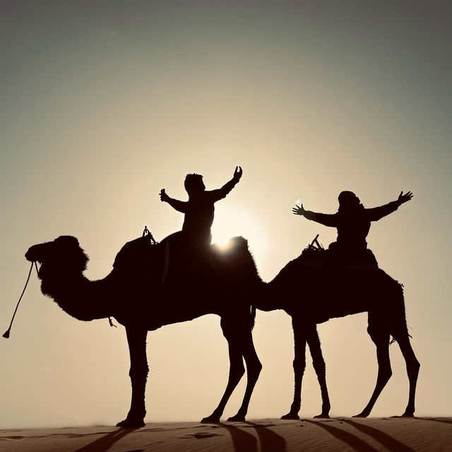 Lost in the Sahara