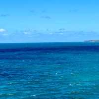 Bondi Beach