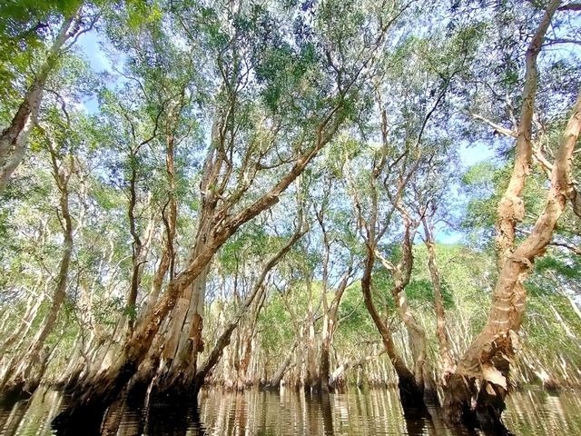 เที่ยวสวนพฤกษศาสตร์ระยอง