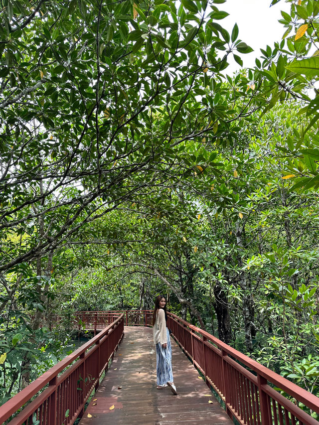 เส้นทางศึกษาธรรมชาติท่าปอม กระบี่ 🌳