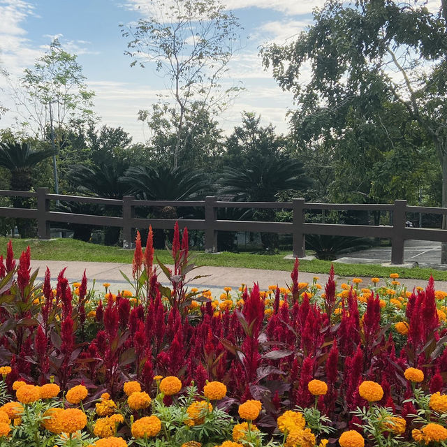 🇲🇾Taman Saujana Hijau : A Hidden Gem for Nature Lovers