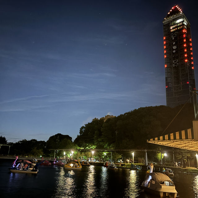 夜遊東山動物園，專屬夜晚的野性與浪漫
