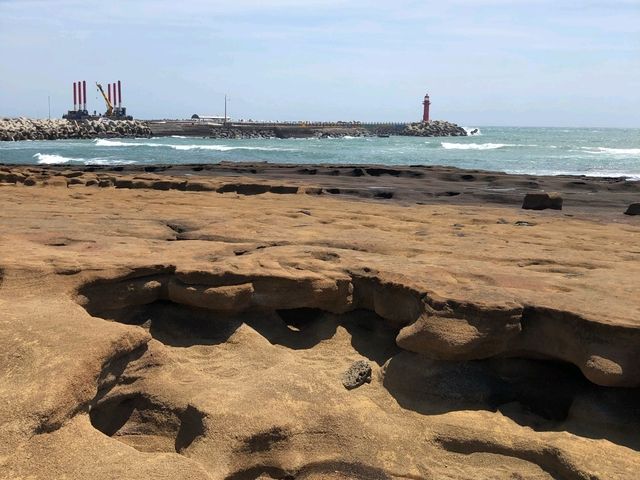 제주도의 이국적이면서 신기한 자연의 신비 📸