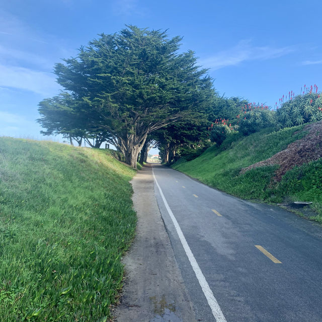 Exploring the 17-Mile Drive: A Scenic Coastal Journey