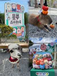 宜蘭親子好去處，好好跟動物互動一下