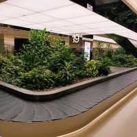 2nd time I visit Singapore and landing at Changi airport