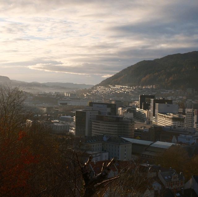 挪威峽灣城市Bergen
