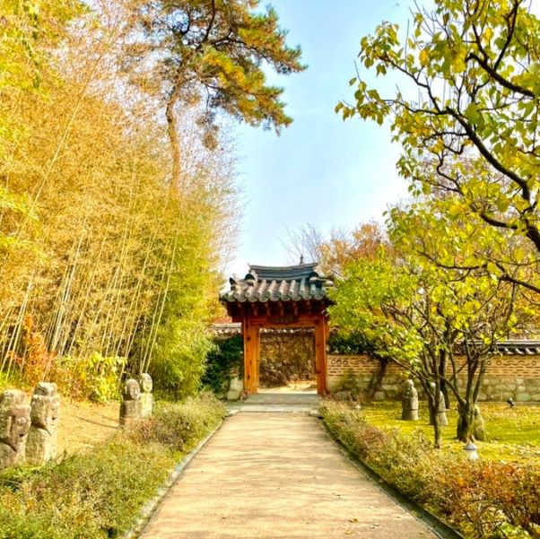 역대급 가을 느낄 수 있는 여기는⁉️