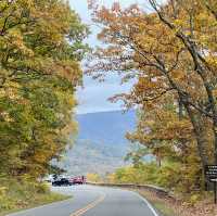 미국에서의 가을 여행! 셰난도어 국립공원🍂🍁