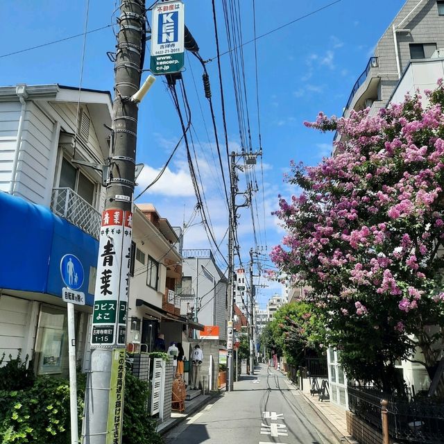 🇯🇵‖在吉祥寺慢遊東京的感受