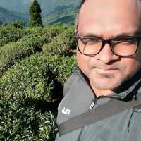 Beautiful view of tea Garden from Darjeeling 