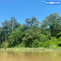 尼泊爾 奇旺國家公園 🏞️