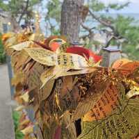 Serene Oceanfront Oasis: Yonggungsa Temple
