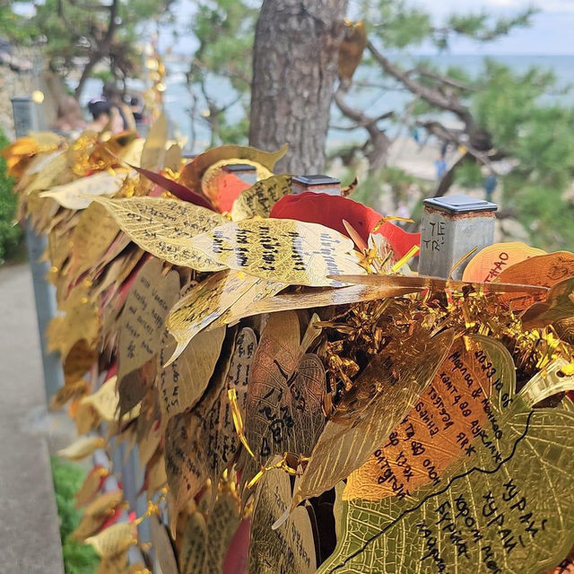 Serene Oceanfront Oasis: Yonggungsa Temple