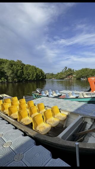 Exploring Cherating's Mangroves: A Scenic River Cruise with Our Local Guide